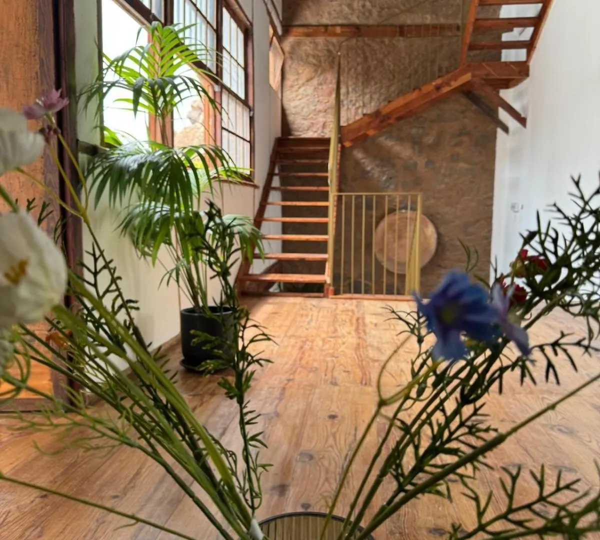 Hotel Laguna Cool Living La Laguna  Espanha
